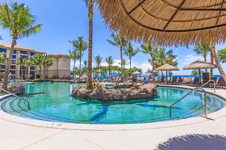 Resort lagoon pool with a rock island and a thatched cabana under palms