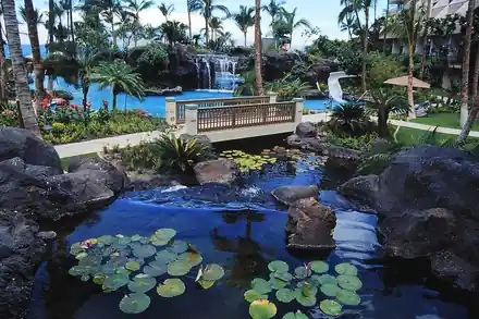 Lava-rock stream and waterfall under a footbridge with lily pads on a pond
