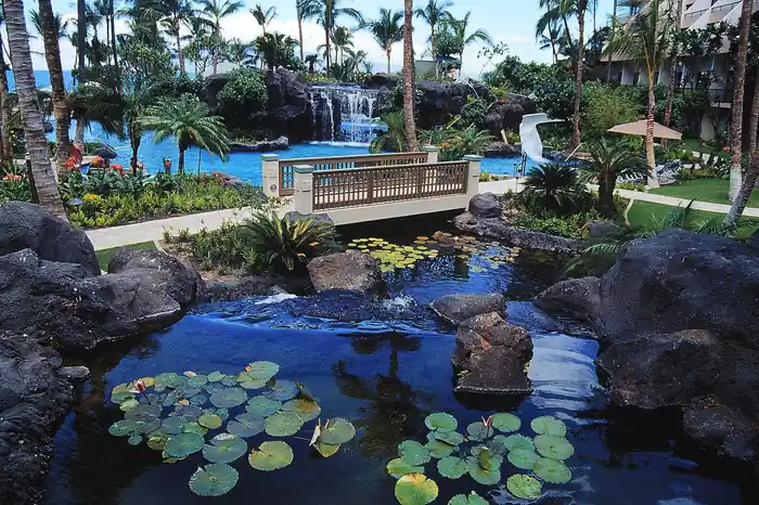 Koi pond with lily pads, a footbridge and a rock waterfall