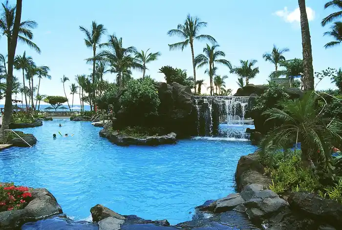Freeform resort lagoon pool around a rock island with a waterfall and tall palms